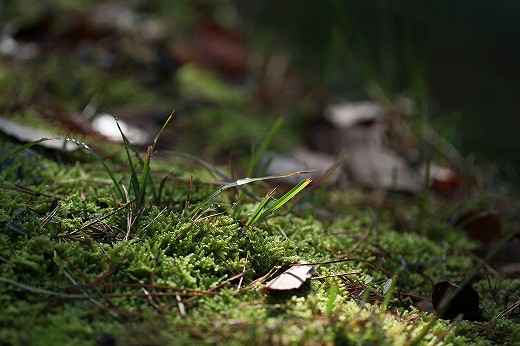 e0190885_12512995.jpg