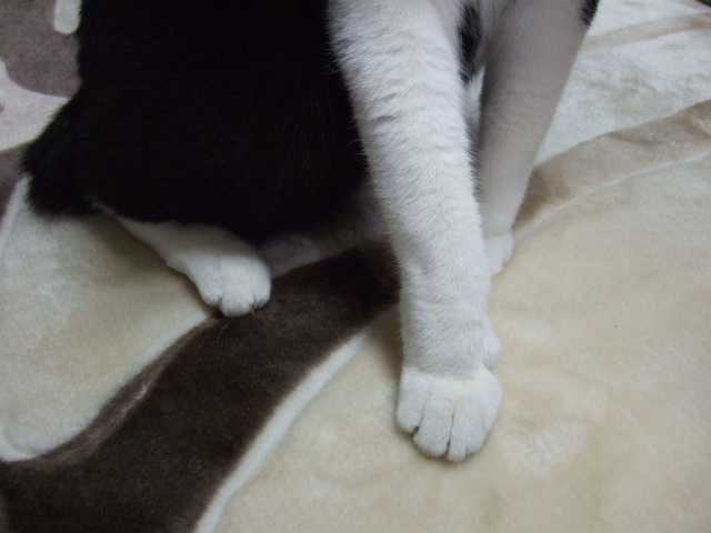 c0150193_22496100.jpg