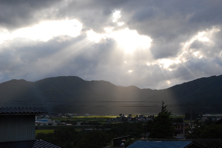 d0085096_1537019.jpg