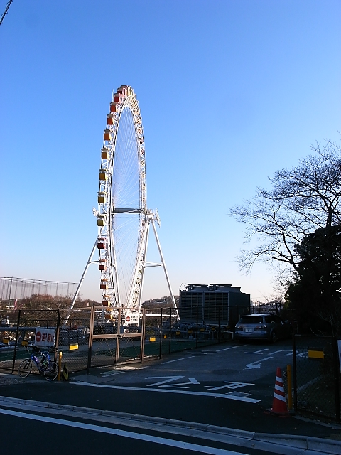 d0081997_1621469.jpg