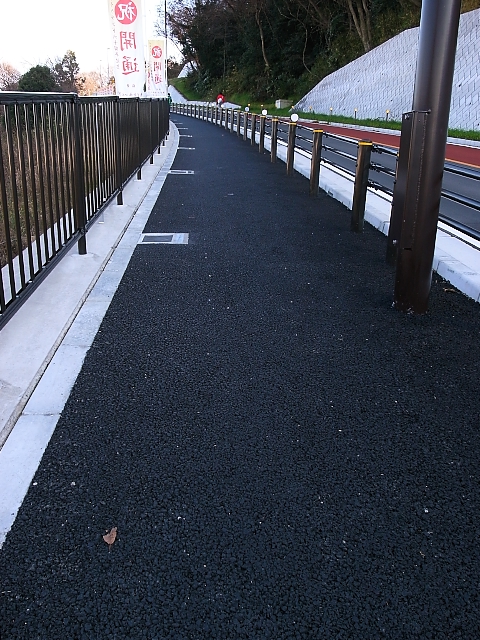 d0081997_16295419.jpg