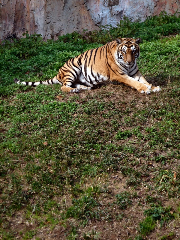 b0138101_910982.jpg