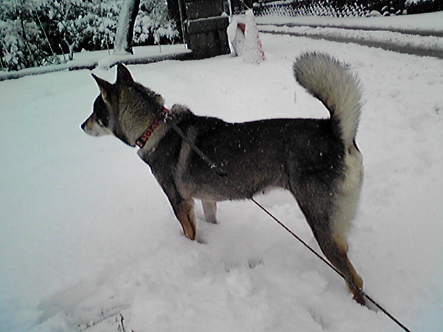 f0079202_18111798.jpg