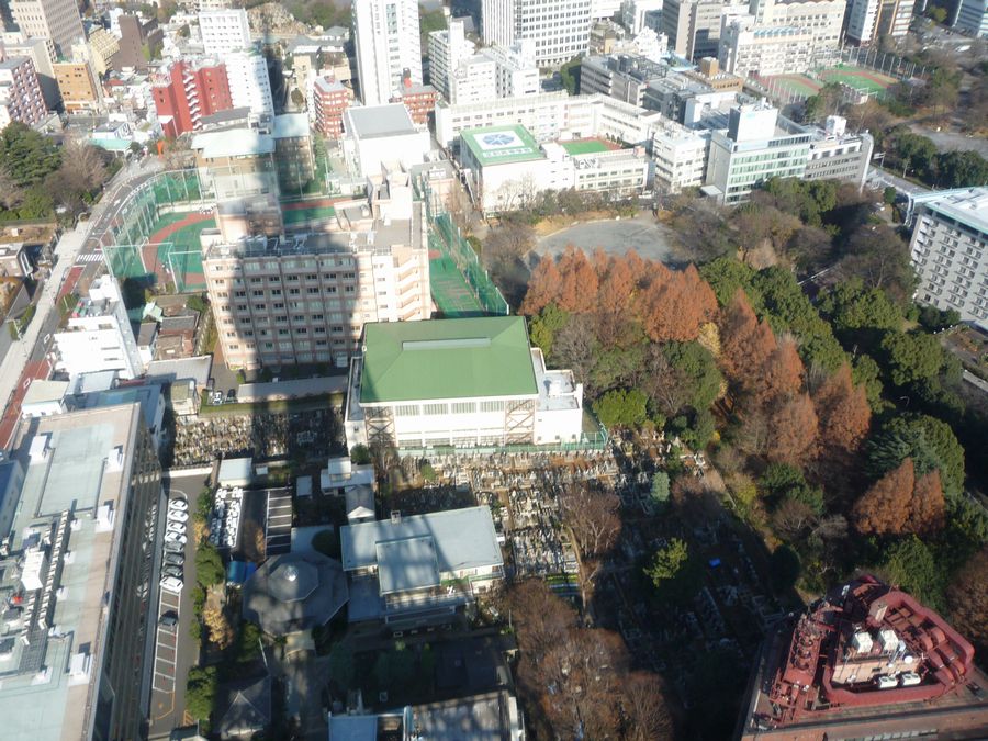 c0187503_081254.jpg
