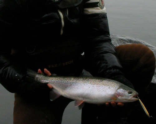 b0110205_1022767.jpg