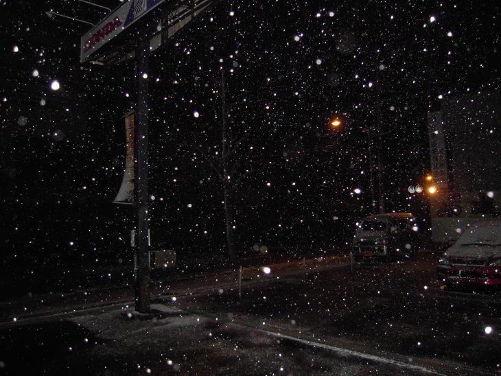 f0061705_726191.jpg