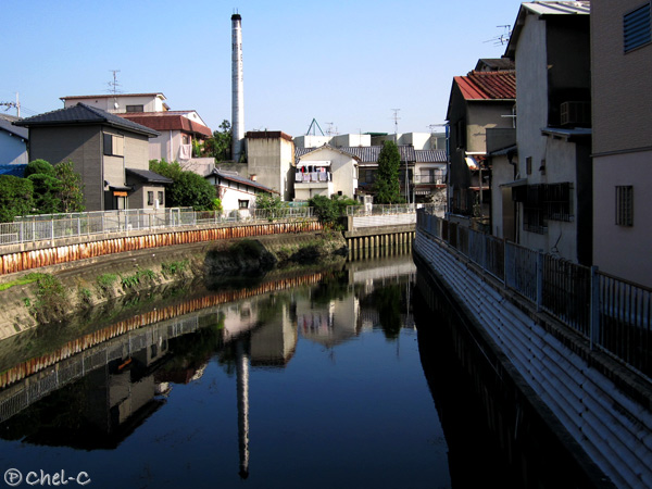 a0154706_13582710.jpg