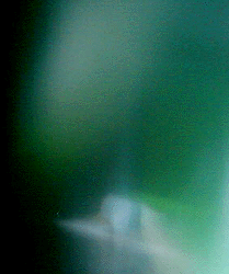 e0103408_14144688.gif
