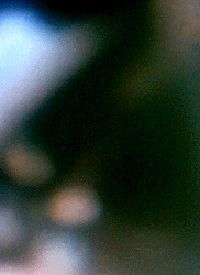 e0103408_14154070.gif