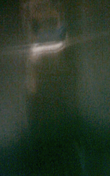 e0103408_1424581.gif