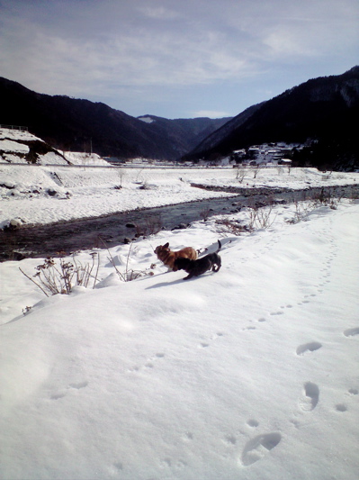 f0135908_8103254.jpg