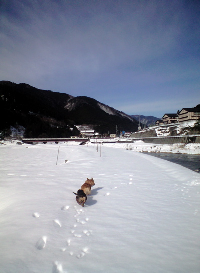 f0135908_8105160.jpg