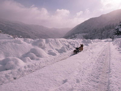 f0135908_895740.jpg