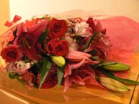 f0006509_032435.jpg