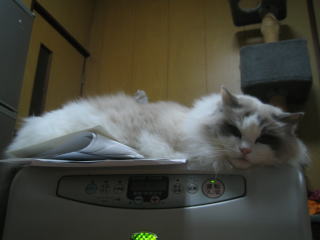c0024410_23482593.jpg