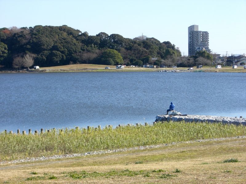 f0169012_20323475.jpg