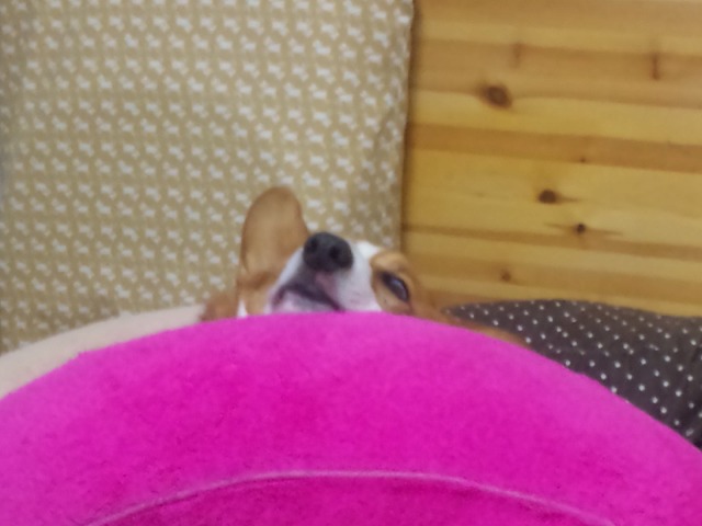 c0127617_2274881.jpg