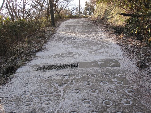c0225420_10503100.jpg