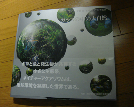 d0151521_1211274.jpg