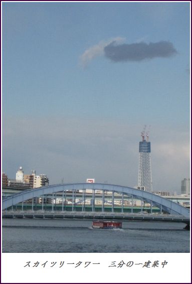 c0177332_20234218.jpg