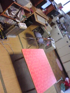 b0089434_1721213.jpg