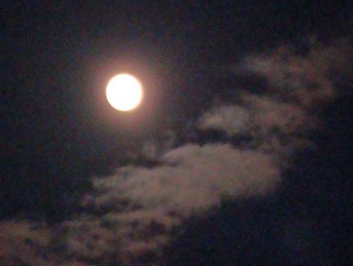 b0012636_0182223.jpg
