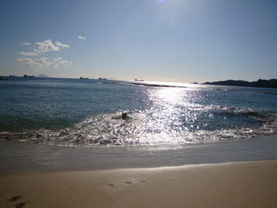 e0158841_15453100.jpg