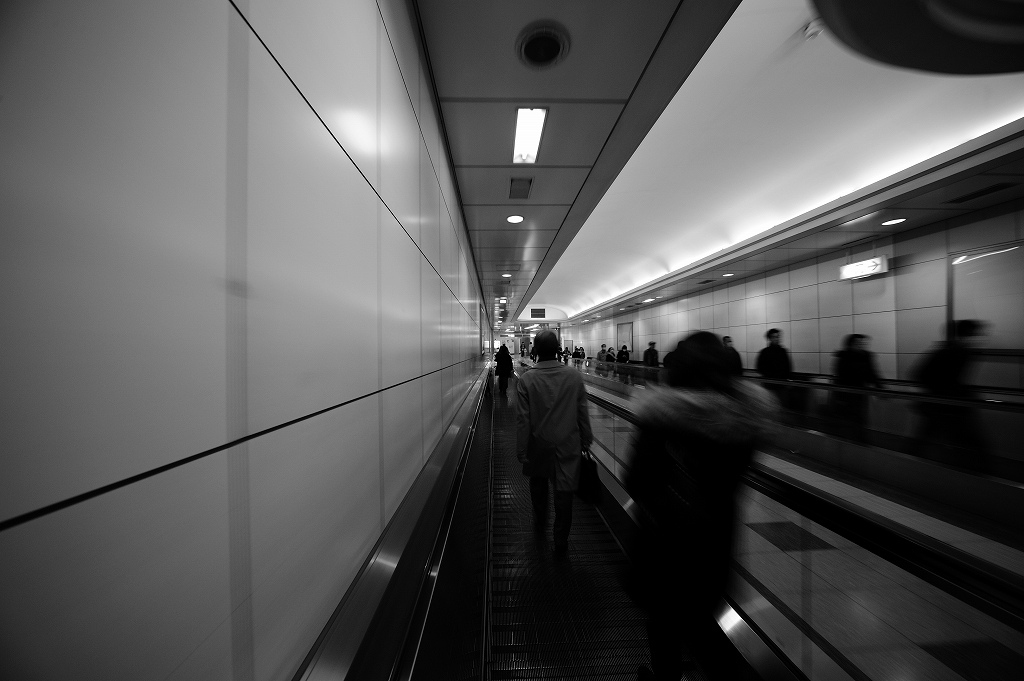 c0228442_1324883.jpg