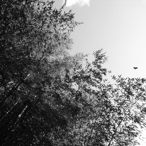 e0136745_13592856.jpg