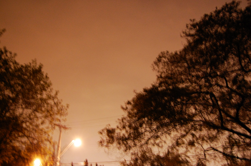 d0018646_30593.jpg
