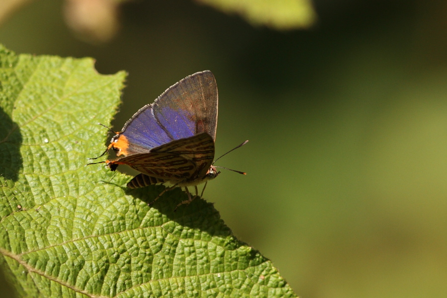 a0094850_18424767.jpg
