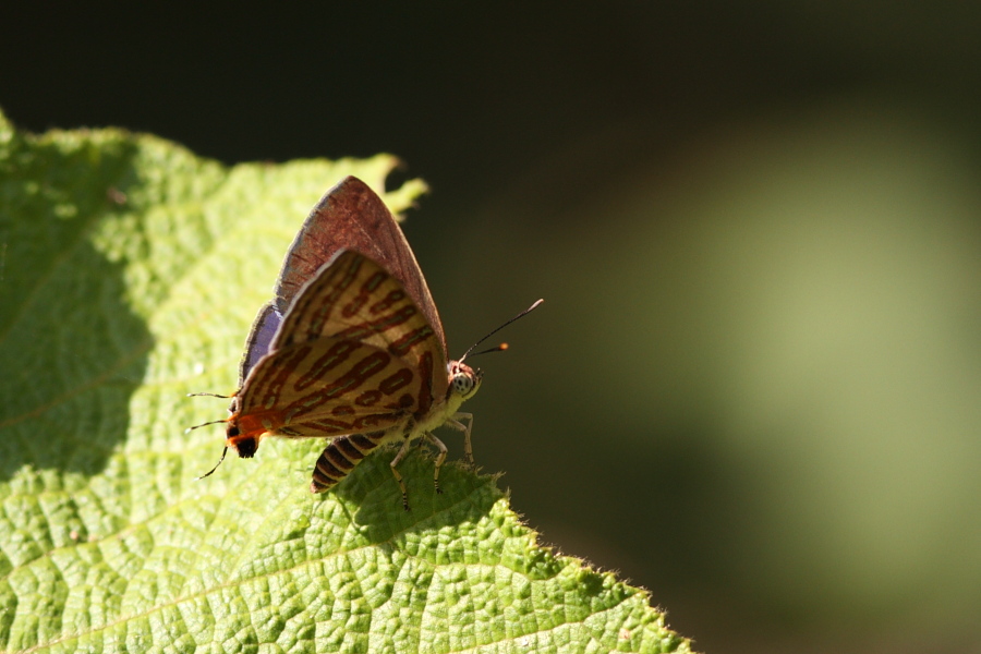 a0094850_18432838.jpg