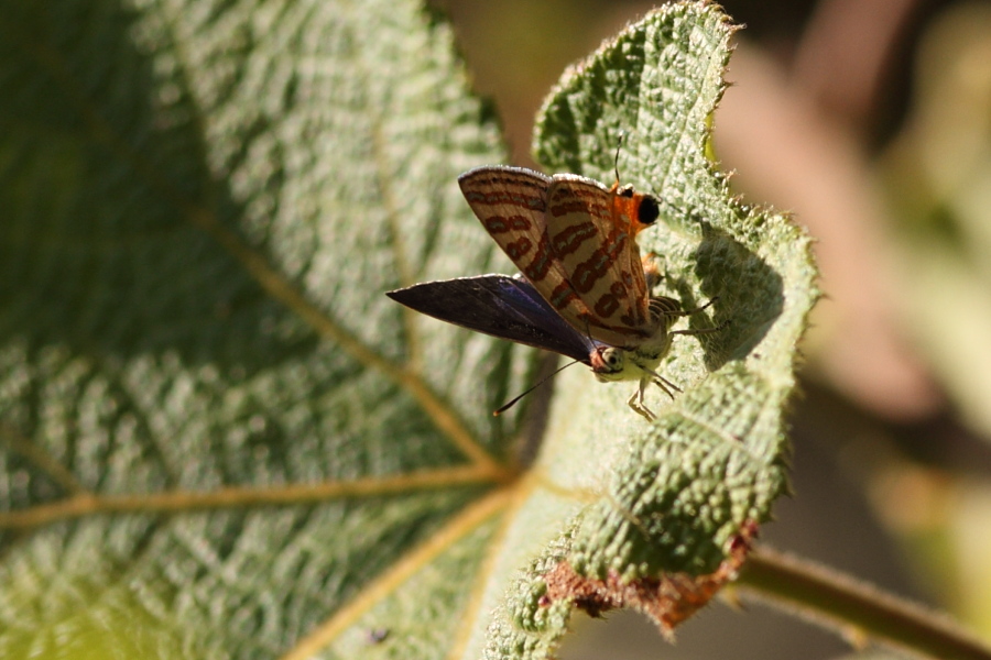 a0094850_1845214.jpg