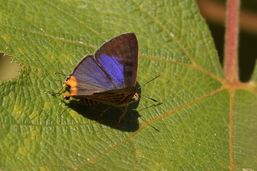 a0094850_1848495.jpg