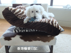 f0190653_22553043.gif