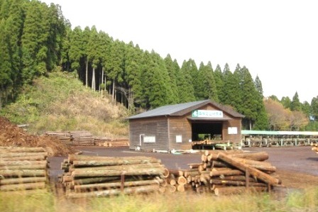 b0173754_1334681.jpg