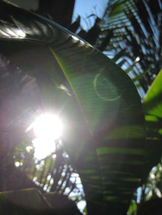 a0151355_18572997.jpg