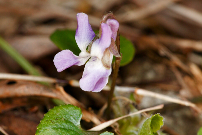 b0167256_083360.jpg