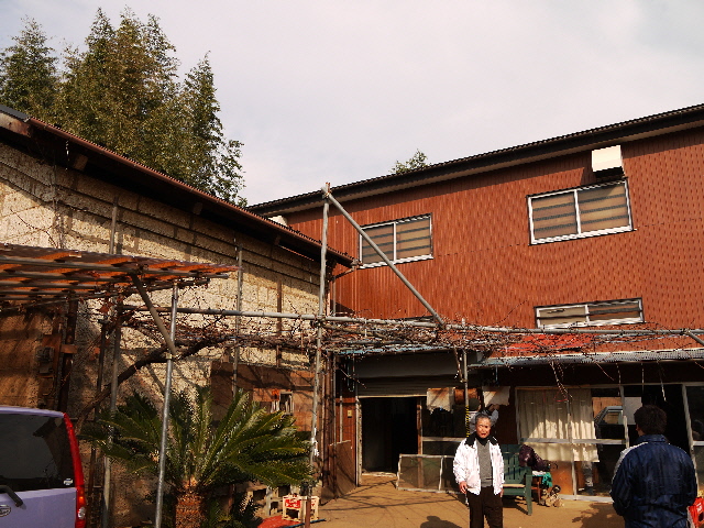 d0141457_22195865.jpg