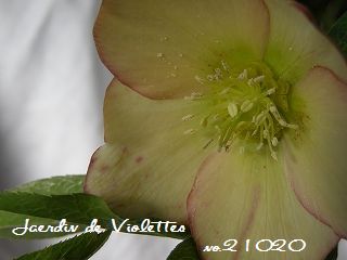 e0118257_159185.jpg