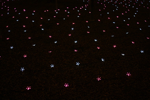 c0107861_2315797.jpg