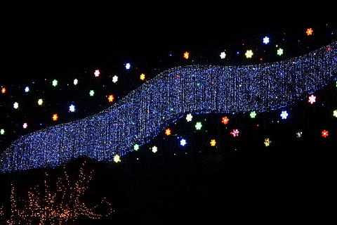 c0107861_2324086.jpg