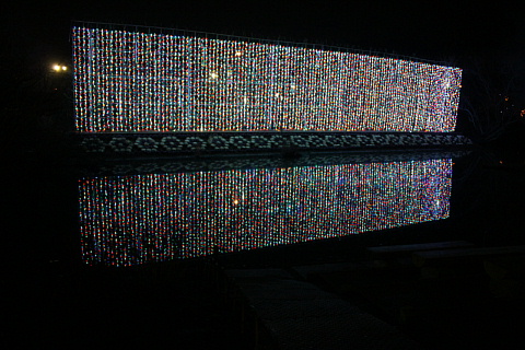 c0107861_2333578.jpg