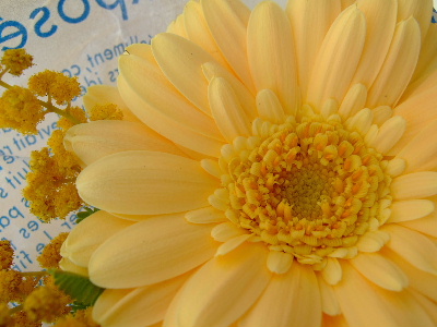 d0102664_130234.jpg