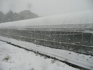 f0055264_11414167.jpg