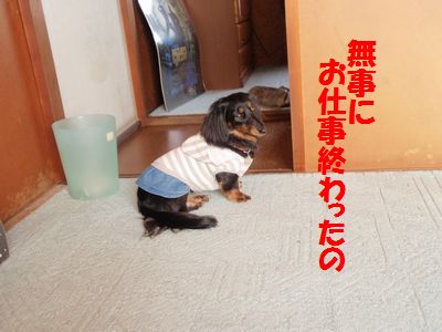 c0151866_177131.jpg