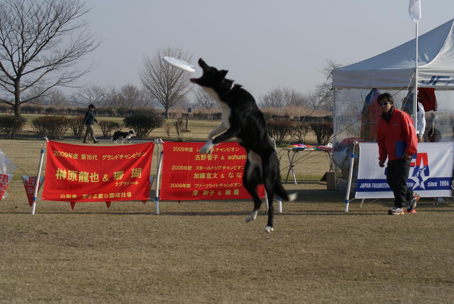 c0109668_15864.jpg