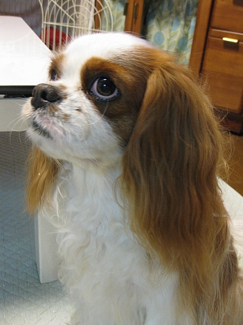 f0175875_2124672.jpg