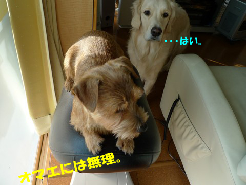 d0043478_13436100.jpg