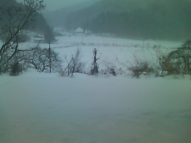 c0050380_176477.jpg